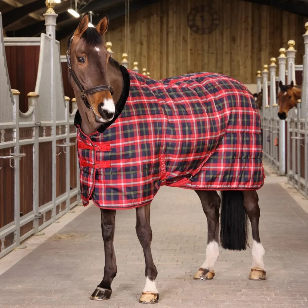 Shires Tempest Plus Stable rug- 200 gm