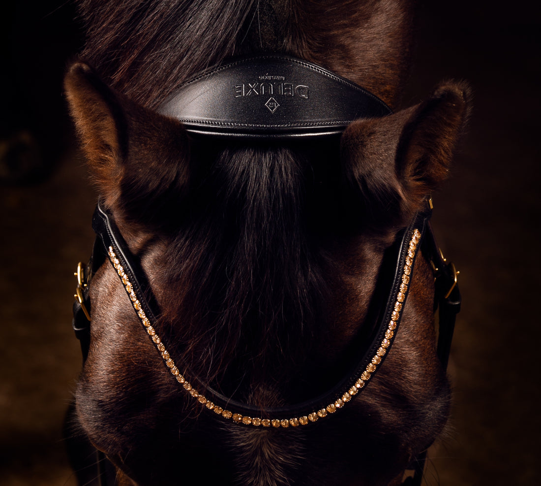 Mrs Ros Deluxe Bridle-Knight power